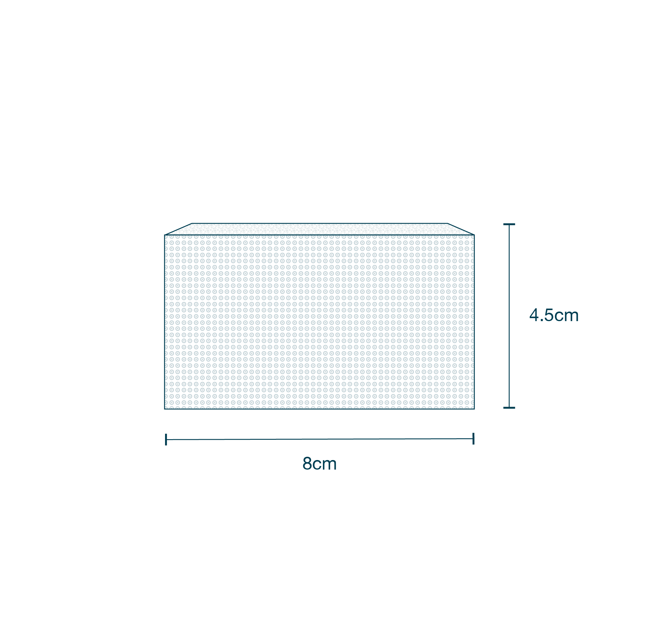 Dry Scrub Brush with Nail Cleaner diagram
