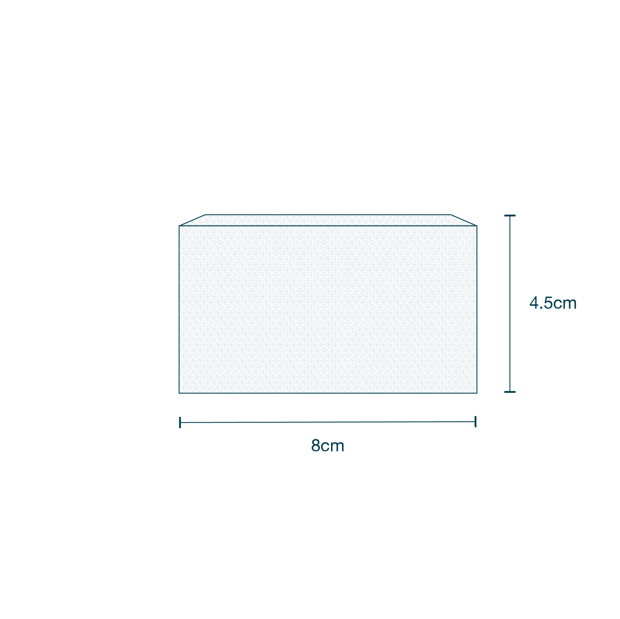 Dry Scrub Brush with Nail Cleaner diagram