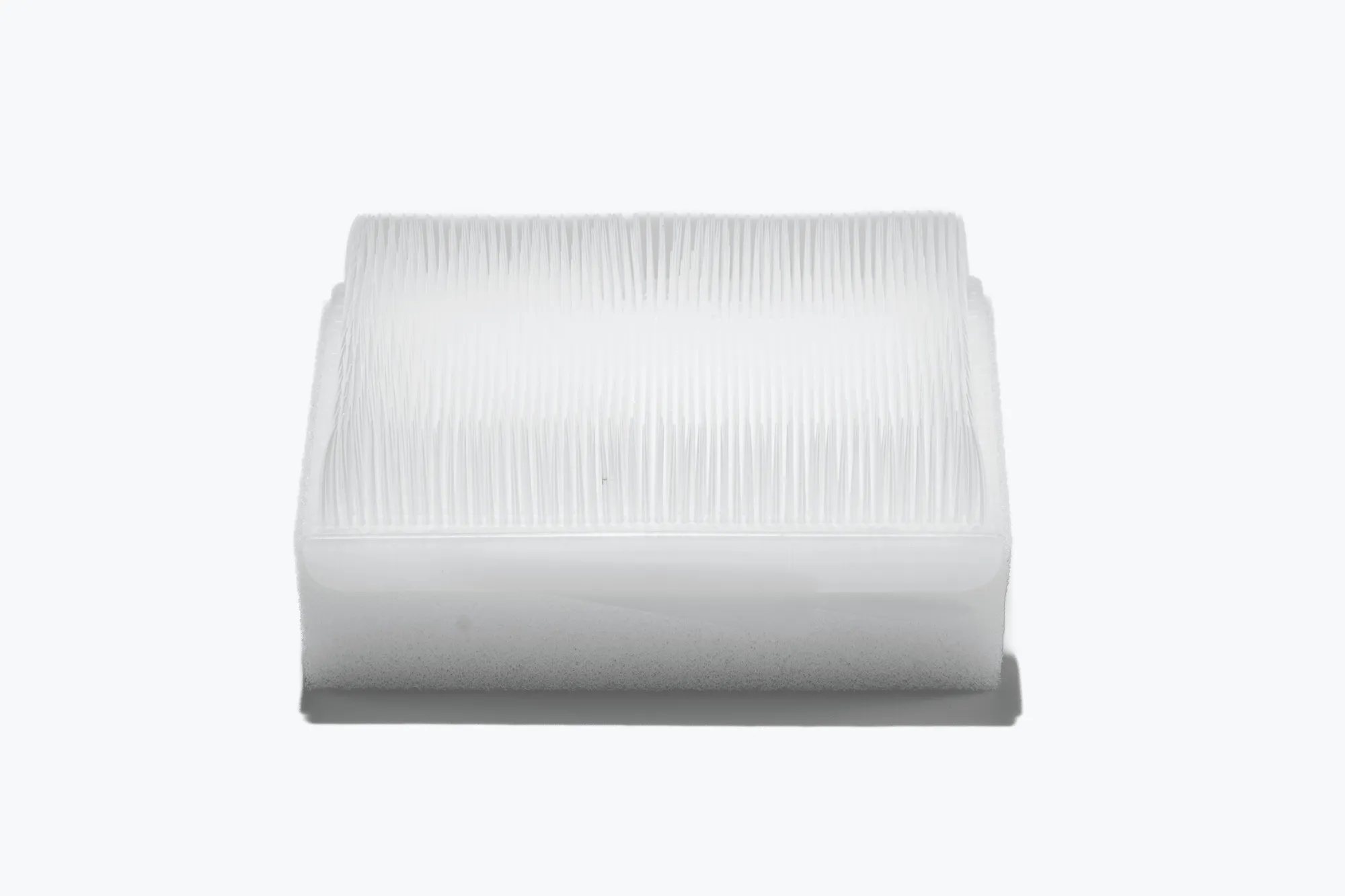 Dry Scrub Brush with Nail Cleaner