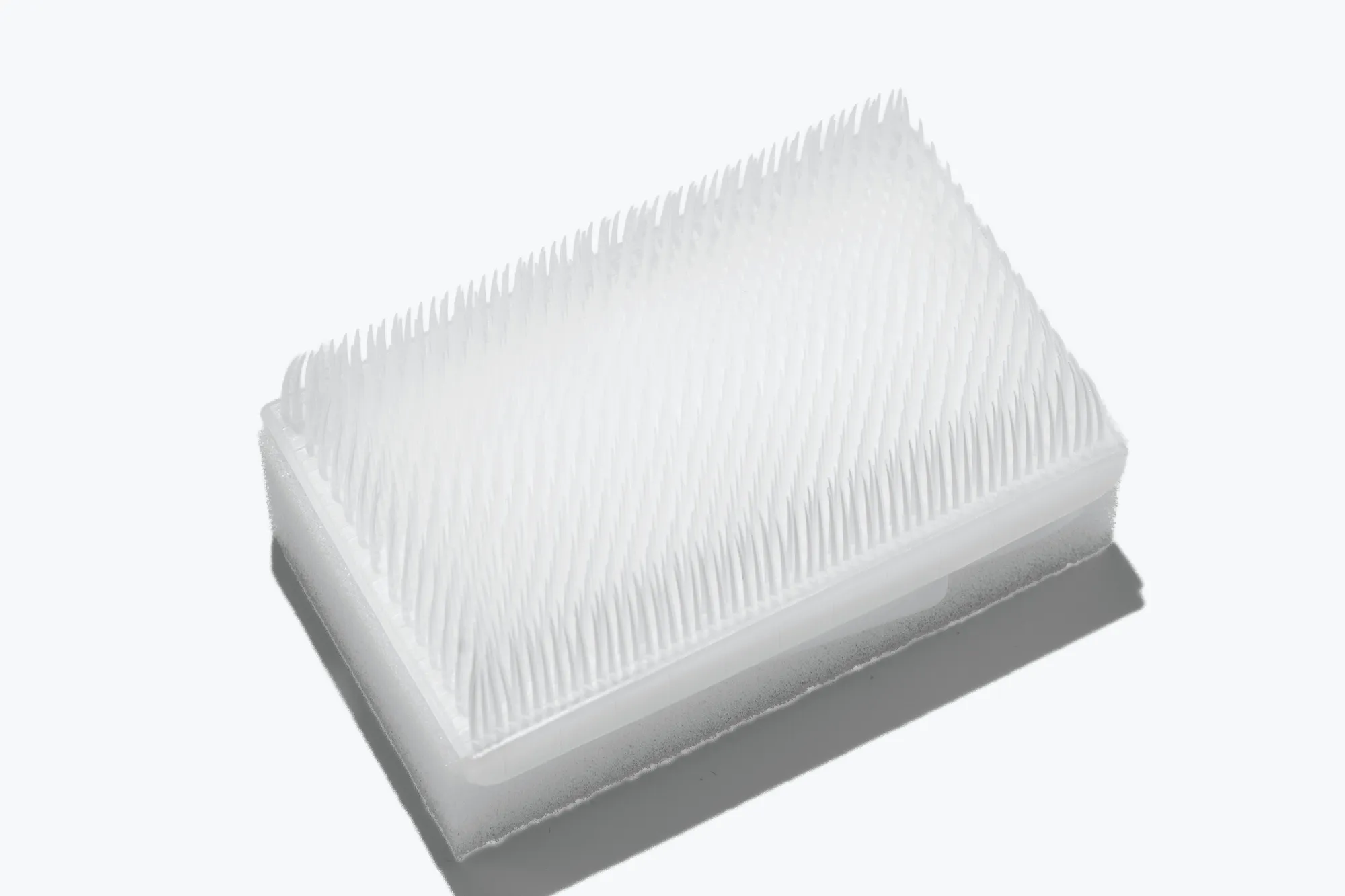 Dry Scrub Brush with Nail Cleaner