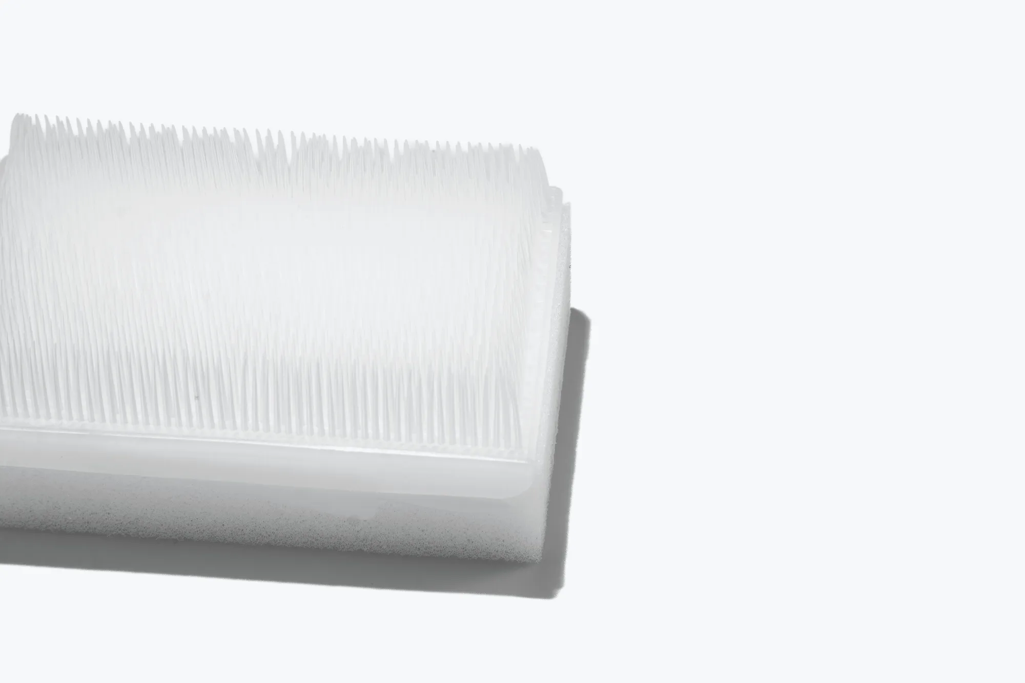 Dry Scrub Brush with Nail Cleaner