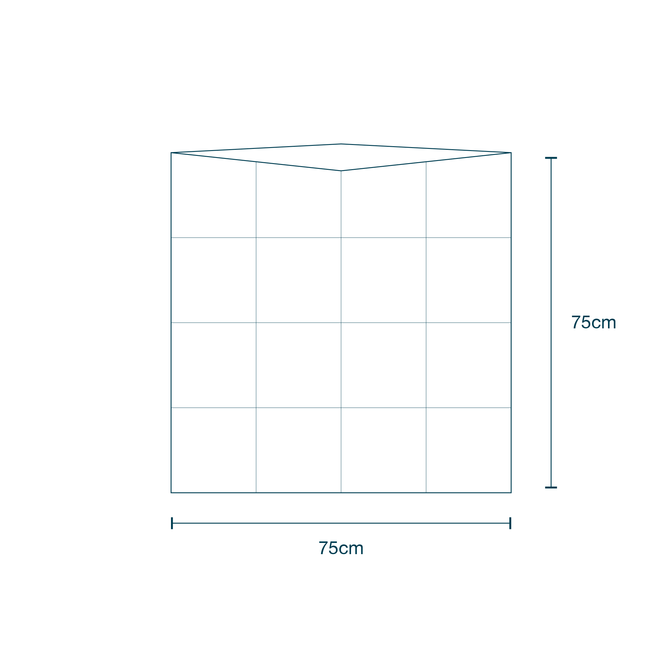 Plastic Bag Clear (75 x 75cm) diagram