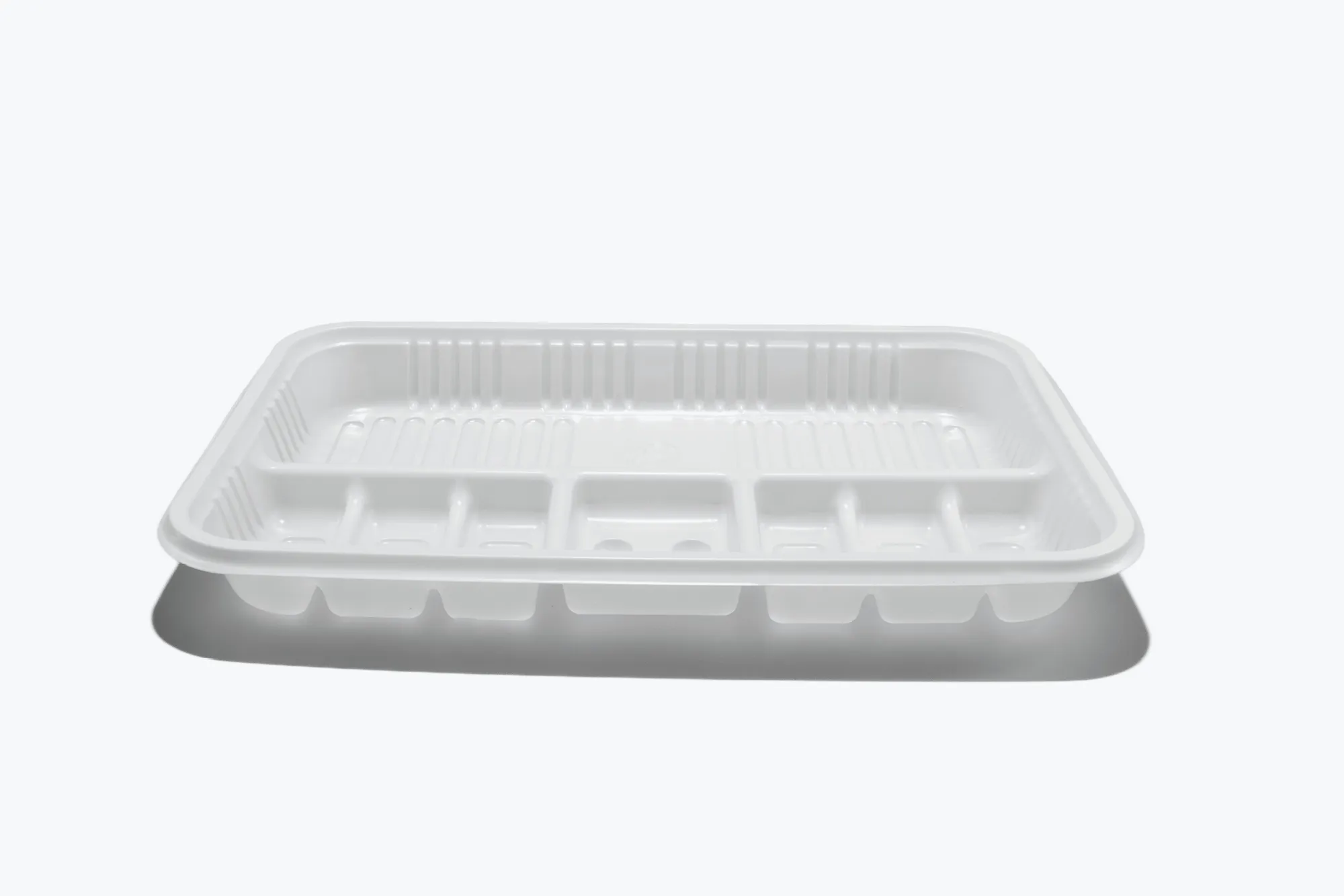 Compartment Tray (20 x 13 x 2cm)